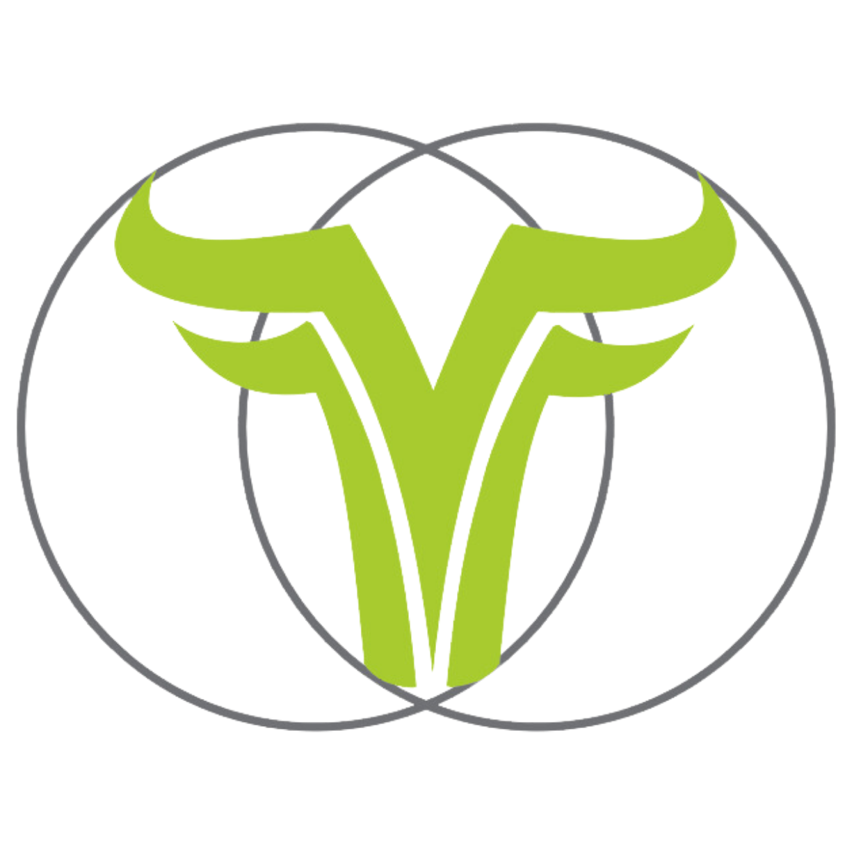 BYSON Engineering logo